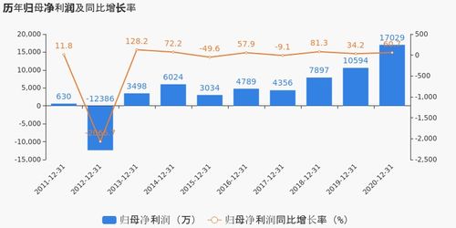 有研新材2020年度業(yè)績顯著提升，歸母凈利潤同比大漲60.74%，投資項目回報成未來焦點